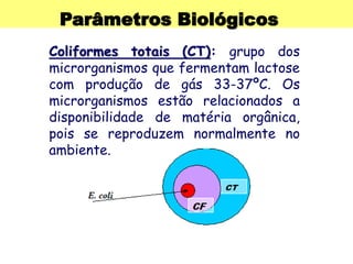 Parâmetros Biológicos
Coliformes totais (CT): grupo dos
microrganismos que fermentam lactose
com produção de gás 33-37ºC. Os
microrganismos estão relacionados a
disponibilidade de matéria orgânica,
pois se reproduzem normalmente no
ambiente.
 