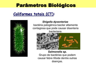 Parâmetros Biológicos
Coliformes totais (CT):
Shigella dysenteriae
bactéria patogênica bacilar altamente
contagiosa que pode causar disenteria
bacteriana.
Salmonella sp.
Grupo de bactérias que podem
causar febre tifoide dentre outras
doenças.
 
