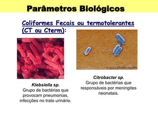 Parâmetros Biológicos
Coliformes Fecais ou termotolerantes
(CT ou Cterm):
Klebsiella sp.
Grupo de bactérias que
provocam pneumonias,
infecções no trato urinário.
Citrobacter sp.
Grupo de bactérias que
responsáveis por meningites
neonatais.
 