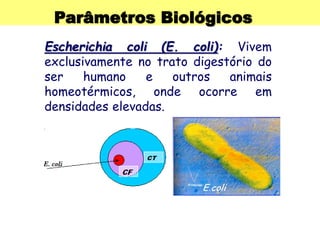 Parâmetros Biológicos
Escherichia coli (E. coli): Vivem
exclusivamente no trato digestório do
ser humano e outros animais
homeotérmicos, onde ocorre em
densidades elevadas.
 