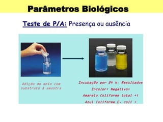 Parâmetros Biológicos
Teste de P/A: Presença ou ausência
 