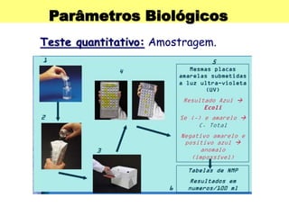 Parâmetros Biológicos
Teste quantitativo: Amostragem.
 