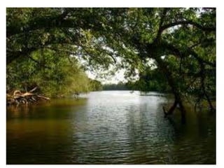 Qualidade da agua   aula 2