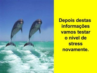 Depois destas  informações vamos testar o nível de stress novamente. 