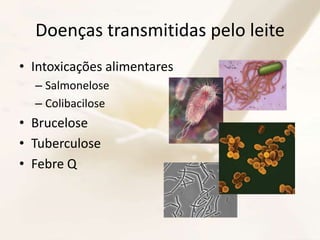 Doenças transmitidas pelo leite
• Intoxicações alimentares
– Salmonelose
– Colibacilose
• Brucelose
• Tuberculose
• Febre Q
 