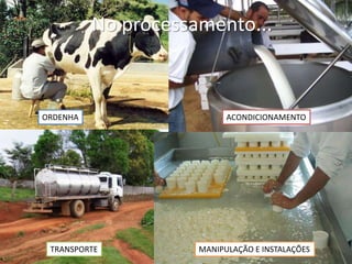 Qualidade do leite
• No processamento
– Higiene na ordenha
– Acondicionamento
– Transporte
– Higiene das pessoas e instalações na produção de
derivados lácteos
No processamento...
ORDENHA ACONDICIONAMENTO
TRANSPORTE MANIPULAÇÃO E INSTALAÇÕES
 
