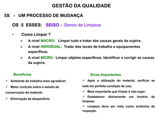 5S - UM PROCESSO DE MUDANÇA
OS 5 ESSES: SEISO – Senso de Limpeza
• Como Limpar ?
 A nível MACRO: Limpar tudo e tratar das causas gerais da sujeira.
 A nível INDIVIDUAL: Tratar dos locais de trabalho e equipamentos
específicos.
 A nível MICRO: Limpar objetos específicos, identificar e corrigir as causas
da sujeira.
GESTÃO DA QUALIDADE
Benefícios
 Ambiente de trabalho mais agradável;
 Maior controle sobre o estado de
conservação do material;
 Eliminação de desperdício.
Dicas Importantes
 Após a utilização do material, verificar se
está em perfeita condição de uso;
 Mais importante que limpar é não sujar;
 Estabelecer diariamente um horário de
limpeza;
 Limpeza deve ser vista como sinônimo de
inspeção.
 