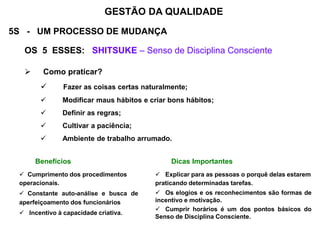 5S - UM PROCESSO DE MUDANÇA
OS 5 ESSES: SHITSUKE – Senso de Disciplina Consciente
 Como praticar?
 Fazer as coisas certas naturalmente;
 Modificar maus hábitos e criar bons hábitos;
 Definir as regras;
 Cultivar a paciência;
 Ambiente de trabalho arrumado.
GESTÃO DA QUALIDADE
Benefícios
 Cumprimento dos procedimentos
operacionais.
 Constante auto-análise e busca de
aperfeiçoamento dos funcionários
 Incentivo à capacidade criativa.
Dicas Importantes
 Explicar para as pessoas o porquê delas estarem
praticando determinadas tarefas.
 Os elogios e os reconhecimentos são formas de
incentivo e motivação.
 Cumprir horários é um dos pontos básicos do
Senso de Disciplina Consciente.
 