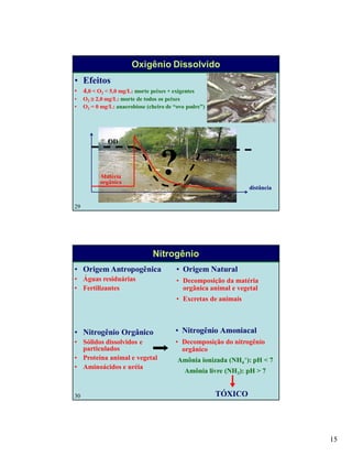 15
29
Oxigênio Dissolvido
• Efeitos
• 4,0 < O2 < 5,0 mg/L: morte peixes + exigentes
• O2  2,0 mg/L: morte de todos os peixes
• O2 = 0 mg/L: anaerobiose (cheiro de “ovo podre”)
distância
OD
Matéria
orgânica
?
30
Nitrogênio
• Origem Natural
• Decomposição da matéria
orgânica animal e vegetal
• Excretas de animais
• Origem Antropogênica
• Águas residuárias
• Fertilizantes
• Nitrogênio Amoniacal
• Decomposição do nitrogênio
orgânico
Amônia ionizada (NH4
+): pH < 7
Amônia livre (NH3): pH > 7
TÓXICO
• Nitrogênio Orgânico
• Sólidos dissolvidos e
particulados
• Proteína animal e vegetal
• Aminoácidos e uréia
 