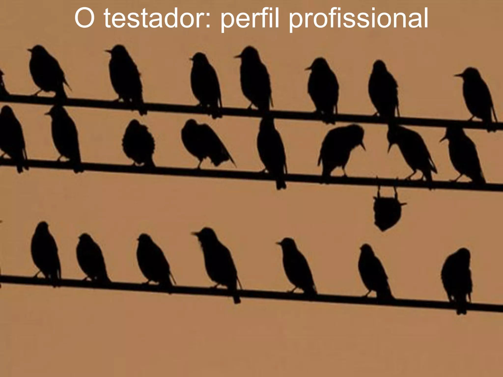 O testador: perfil profissional




www.qualister.com.br
 