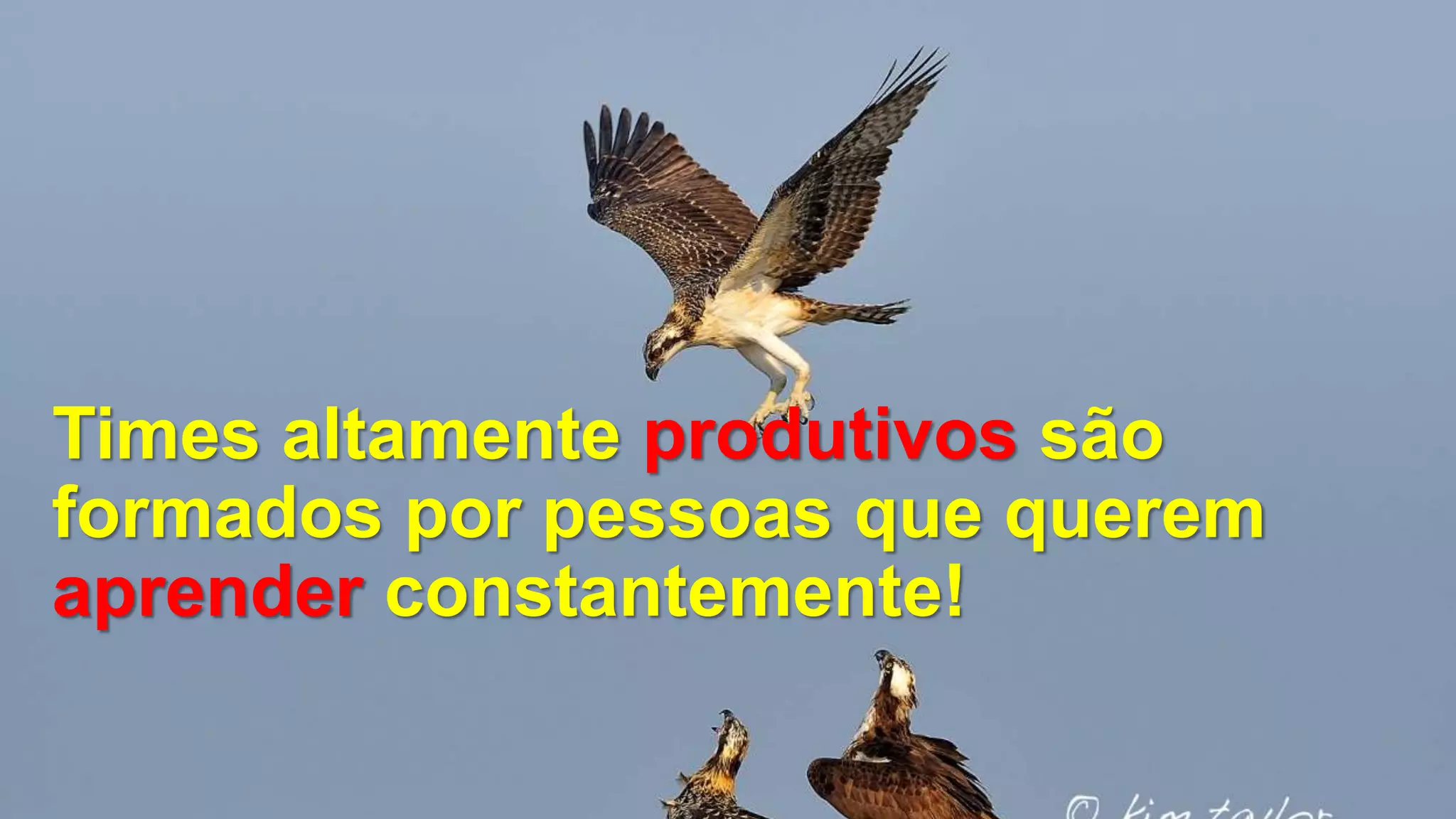 Times altamente produtivos são
formados por pessoas que querem
aprender constantemente!
 