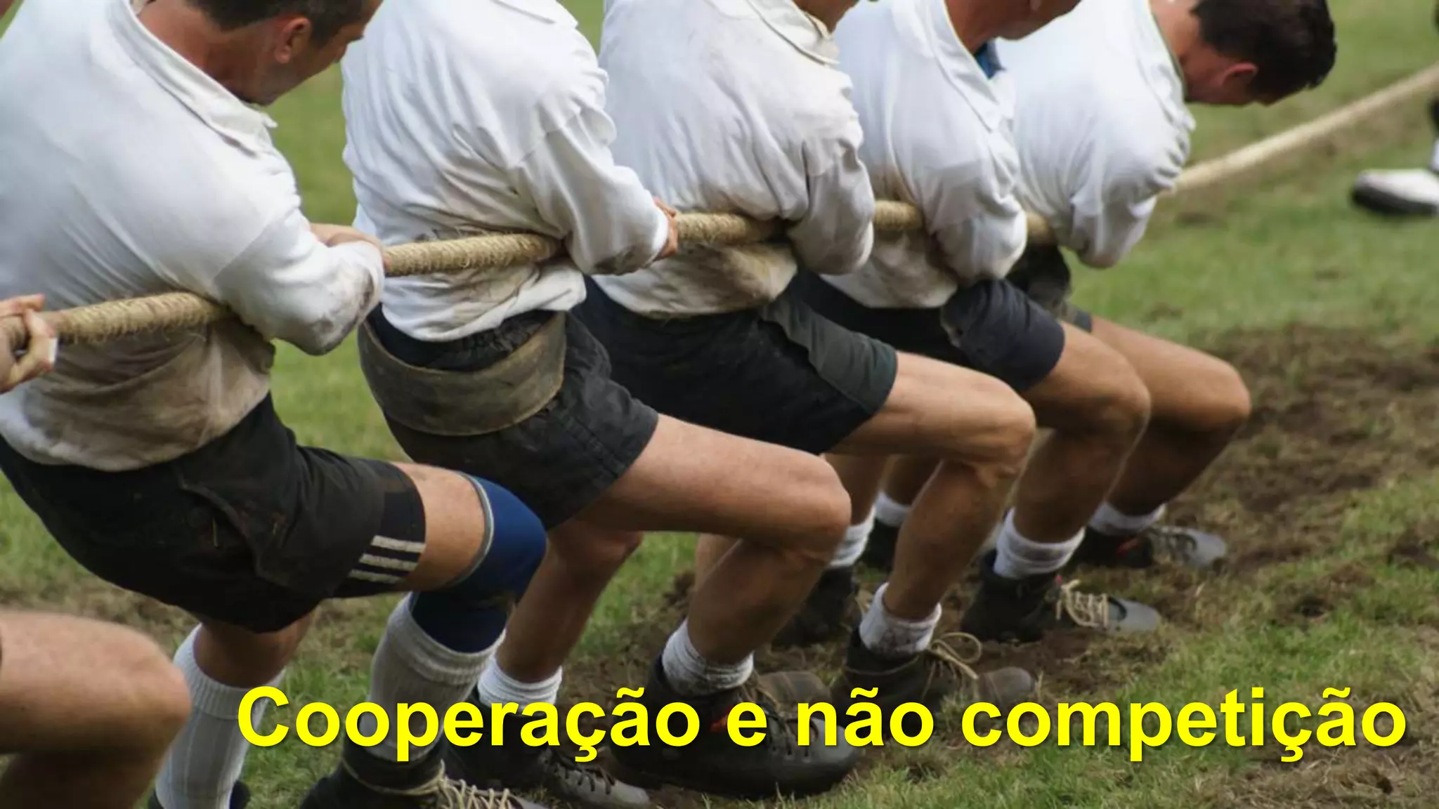 Cooperação e não competição
 