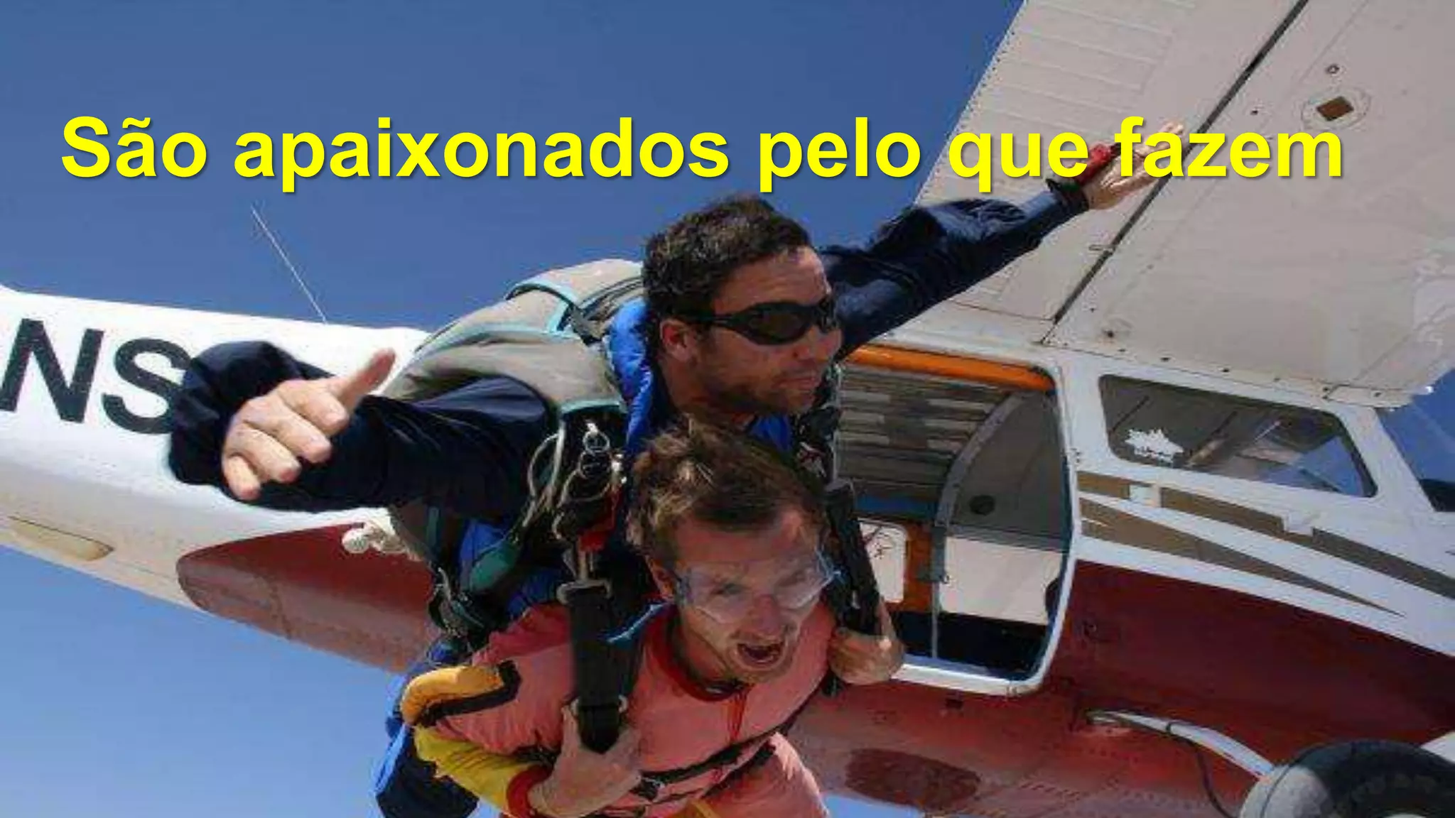 São apaixonados pelo que fazem
 