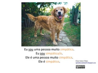 Eu sou uma pessoa muito simpática.
Eu sou simpática/o.
Ele é uma pessoa muito simpática.
Ele é simpático.
 