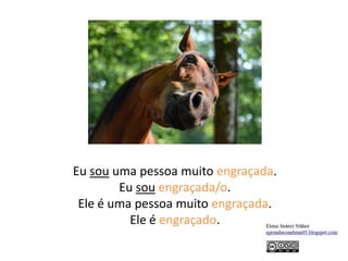 Eu sou uma pessoa muito engraçada.
Eu sou engraçada/o.
Ele é uma pessoa muito engraçada.
Ele é engraçado.
 