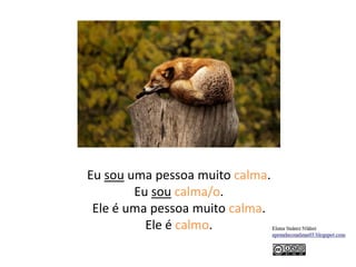 Eu sou uma pessoa muito calma.
Eu sou calma/o.
Ele é uma pessoa muito calma.
Ele é calmo.
 
