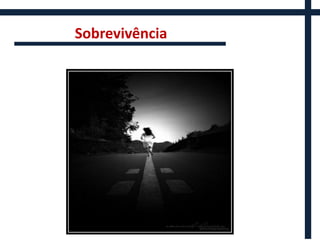 Sobrevivência
 