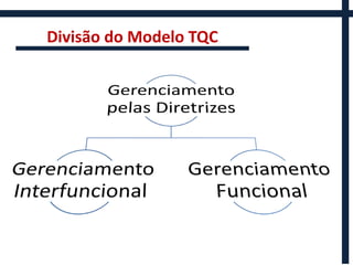 Divisão do Modelo TQC
 