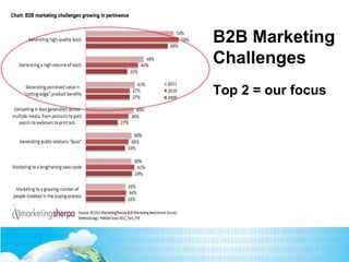 B2B Marketing
Challenges
Top 2 = our focus
 