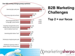 B2B Marketing
Challenges
Top 2 = our focus

 