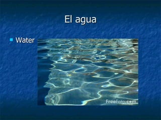 El agua Water