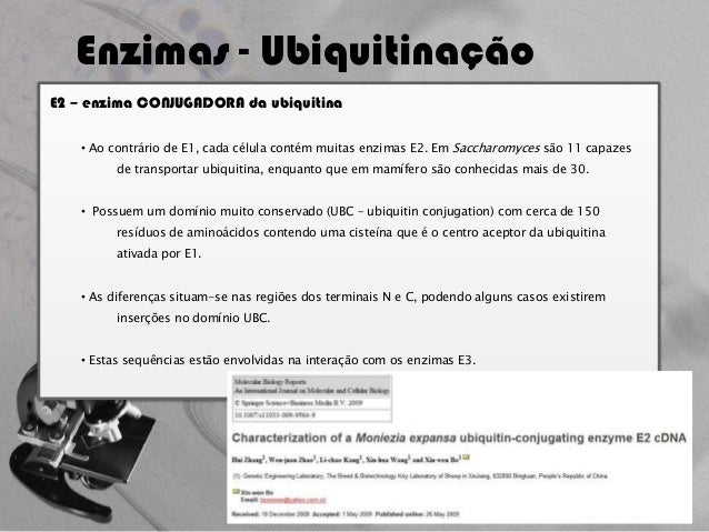 Phd thesis ubiquitin picture