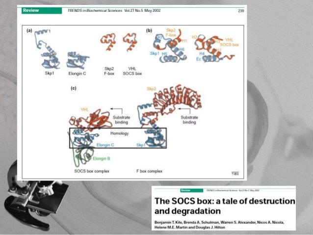 Dissertation meaning image