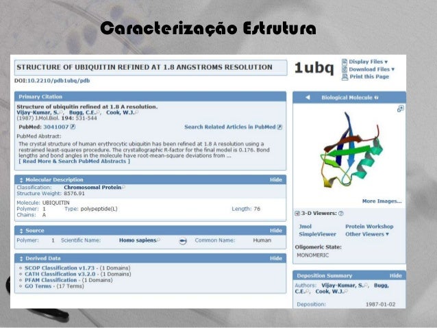 Phd dissertation image