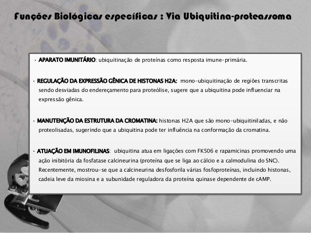 Thesis on ubiquitin