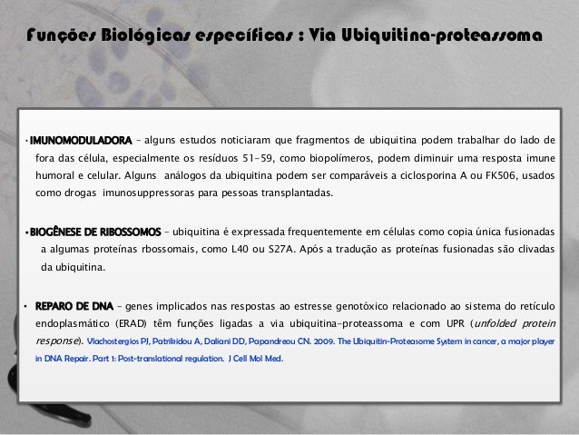Thesis on ubiquitin