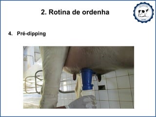 2. Rotina de ordenha
4. Pré-dipping
 