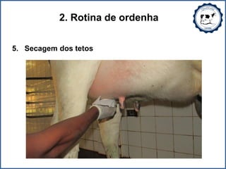 2. Rotina de ordenha
5. Secagem dos tetos
 