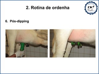 2. Rotina de ordenha
6. Pós-dipping
 