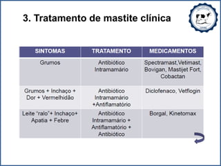 3. Tratamento de mastite clínica
 