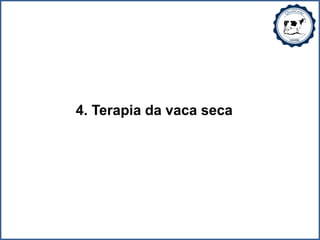 4. Terapia da vaca seca
 