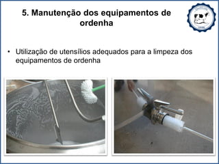 5. Manutenção dos equipamentos de
ordenha
• Utilização de utensílios adequados para a limpeza dos
equipamentos de ordenha
 