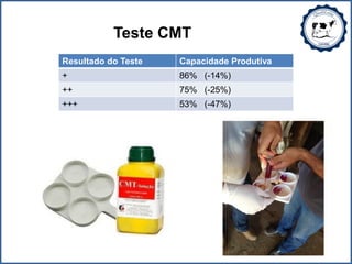 Teste CMT
Resultado do Teste Capacidade Produtiva
+ 86% (-14%)
++ 75% (-25%)
+++ 53% (-47%)
 