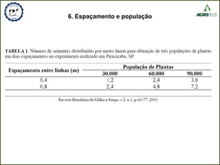 6. Espaçamento e população
 