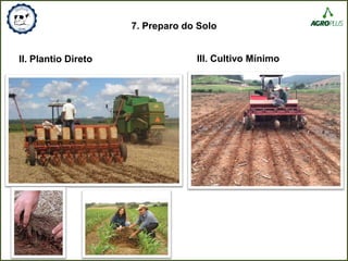 7. Preparo do Solo
II. Plantio Direto III. Cultivo Mínimo
 