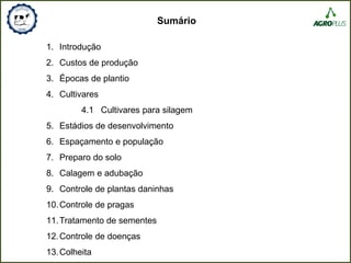 Sumário
1. Introdução
2. Custos de produção
3. Épocas de plantio
4. Cultivares
4.1 Cultivares para silagem
5. Estádios de desenvolvimento
6. Espaçamento e população
7. Preparo do solo
8. Calagem e adubação
9. Controle de plantas daninhas
10.Controle de pragas
11.Tratamento de sementes
12.Controle de doenças
13.Colheita
 