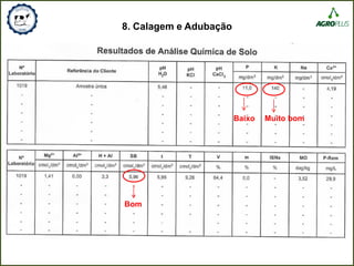 8. Calagem e Adubação
Baixo Muito bom
Bom
 
