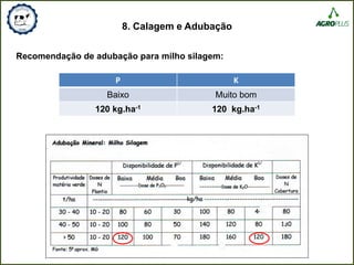 8. Calagem e Adubação
P K
Baixo Muito bom
120 kg.ha-1 120 kg.ha-1
Recomendação de adubação para milho silagem:
 