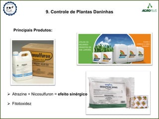 9. Controle de Plantas Daninhas
Principais Produtos:
 Atrazine + Nicosulfuron = efeito sinérgico
 Fitotoxidez
 