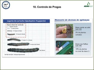 10. Controle de Pragas
 