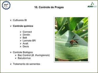 10. Controle de Pragas
 Cultivares Bt
 Controle químico
 Connect
 Dimilin
 Belt
 Lannate BR
 Avalt
 Decis
 Controle Biológico
 Bac Control (B. thuringiensis)
 Baculovírus
 Tratamento de sementes
 