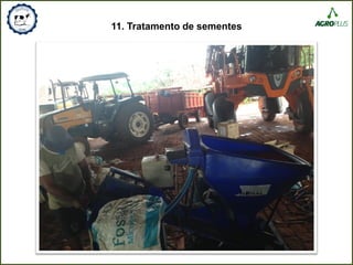 11. Tratamento de sementes
 