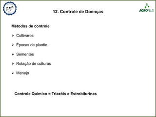 12. Controle de Doenças
Métodos de controle
 Cultivares
 Épocas de plantio
 Sementes
 Rotação de culturas
 Manejo
Controle Químico = Triazóis e Estrobilurinas
 