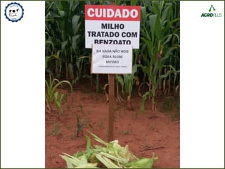 QualiLeiteFunarbe_2016.06.14