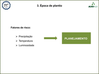 3. Época de plantio
Fatores de risco:
 Precipitação
 Temperatura
 Luminosidade
PLANEJAMENTO
 