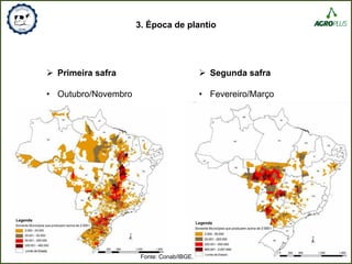 3. Época de plantio
 Primeira safra
• Outubro/Novembro
 Segunda safra
• Fevereiro/Março
Fonte: Conab/IBGE.
 